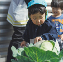 園児が園庭で野菜を育てている様子