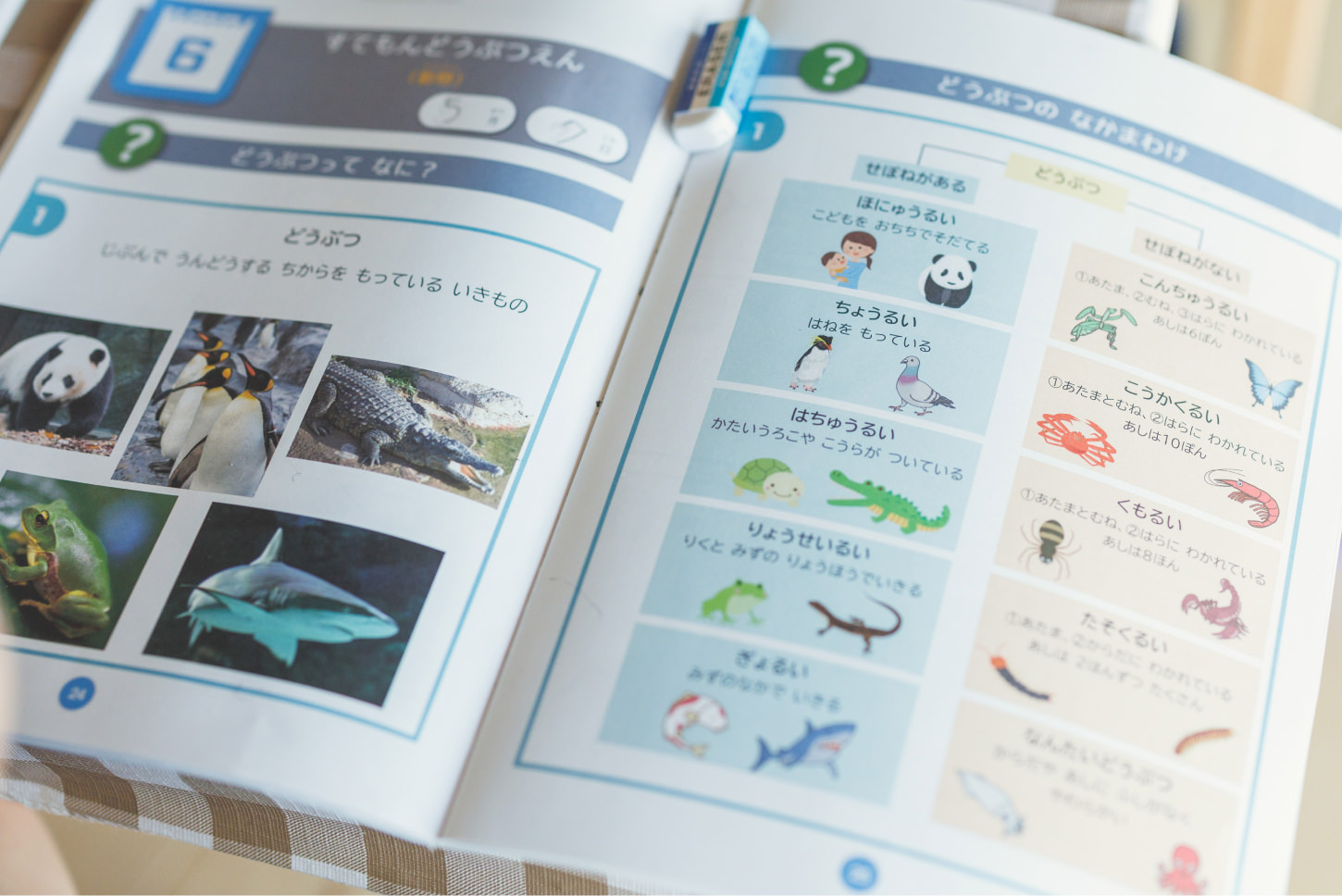 STEAM教育の様子